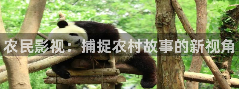 688y午夜神马影院：农民影视：捕捉农村故事的新视角