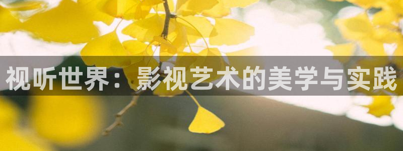 68影视大全：视听世界：影视艺术的美学与实践