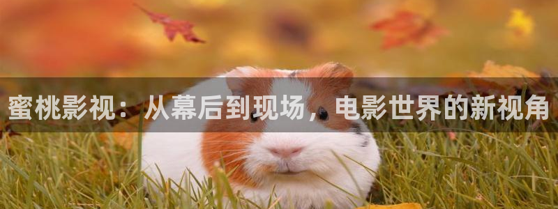 青苹果影院6680