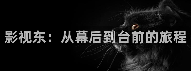 68影视大全：影视东：从幕后到台前的旅程